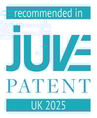 Chambers 2025 award logo